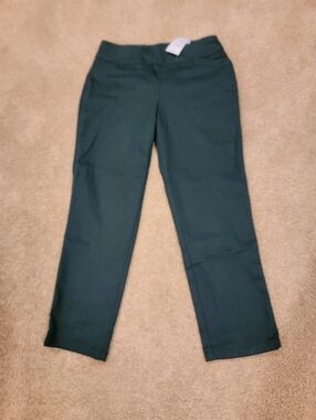 Croft & Barrow The Effortless Stretch Pant in Dark Green
